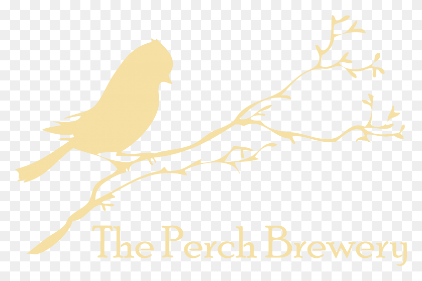 3304x2115 Perch Brewery Logo, Animal, Bird, Finch HD PNG Download