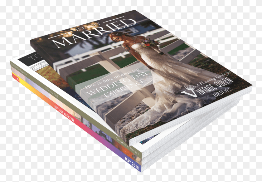 1034x694 Perfect Bound Book Cougar, Bird, Animal, Poster Descargar Hd Png