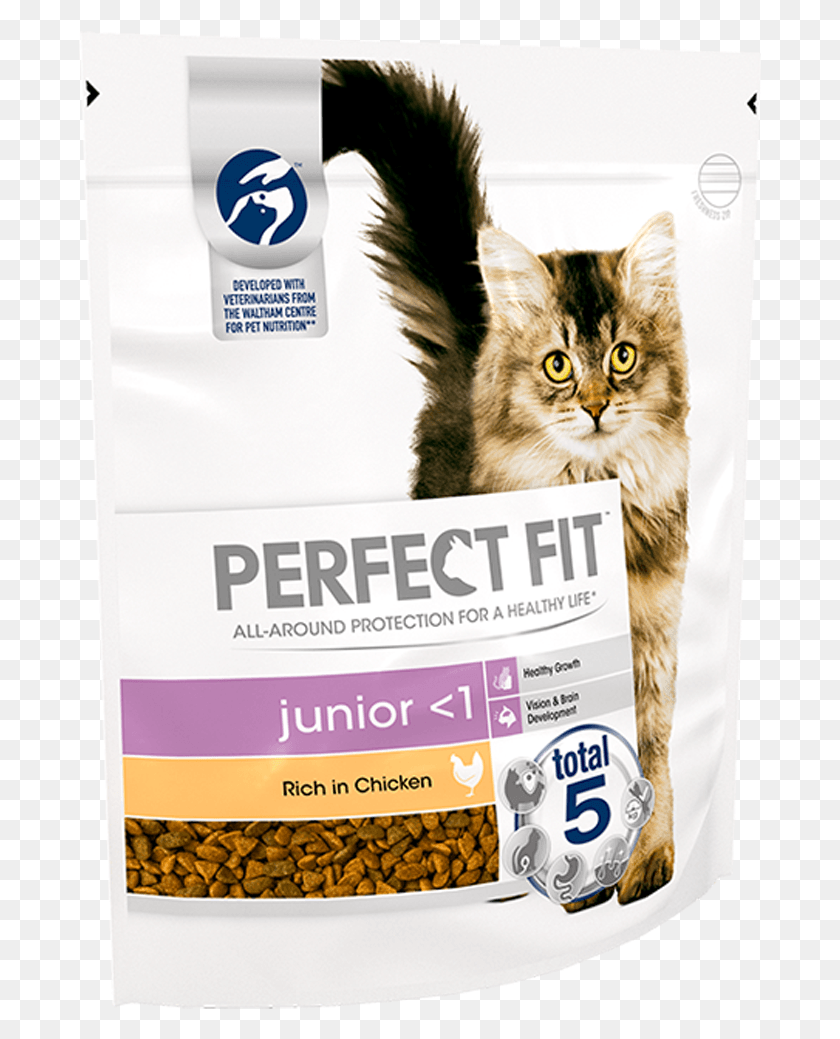 683x979 Perfect Fit Cat Food, Label, Text, Pet HD PNG Download