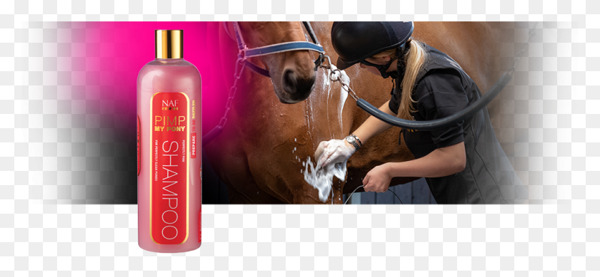 1000x423 Perfectly Pink Shampoo To Clean Up Dirty Ponies Shower Gel, Horse, Mammal, Animal HD PNG Download