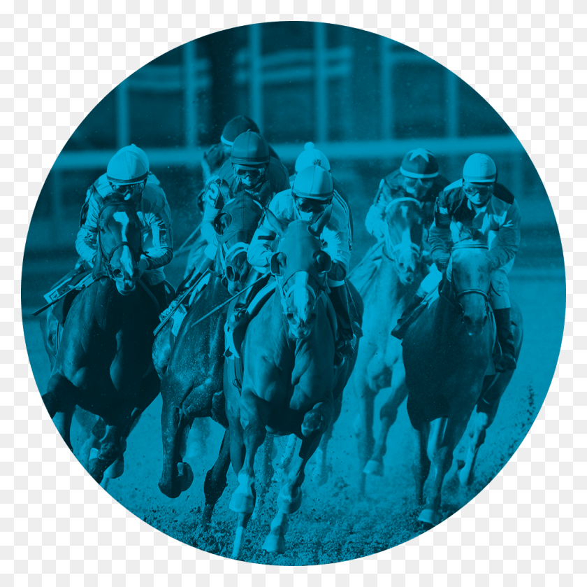 1002x1002 Performance Genetics Sees Into A Thoroughbred39s Future Circle, Person, Human, Horse HD PNG Download