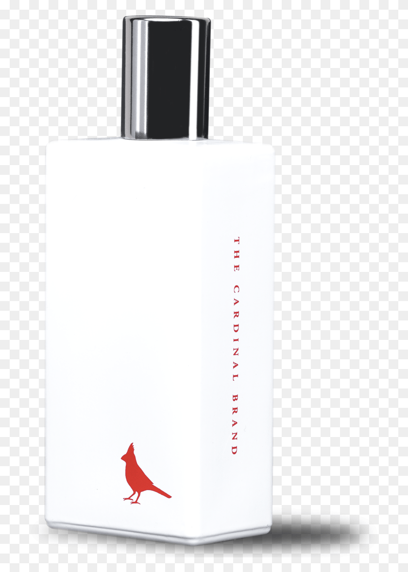 724x1118 Perfume, Bird, Animal, Plot HD PNG Download