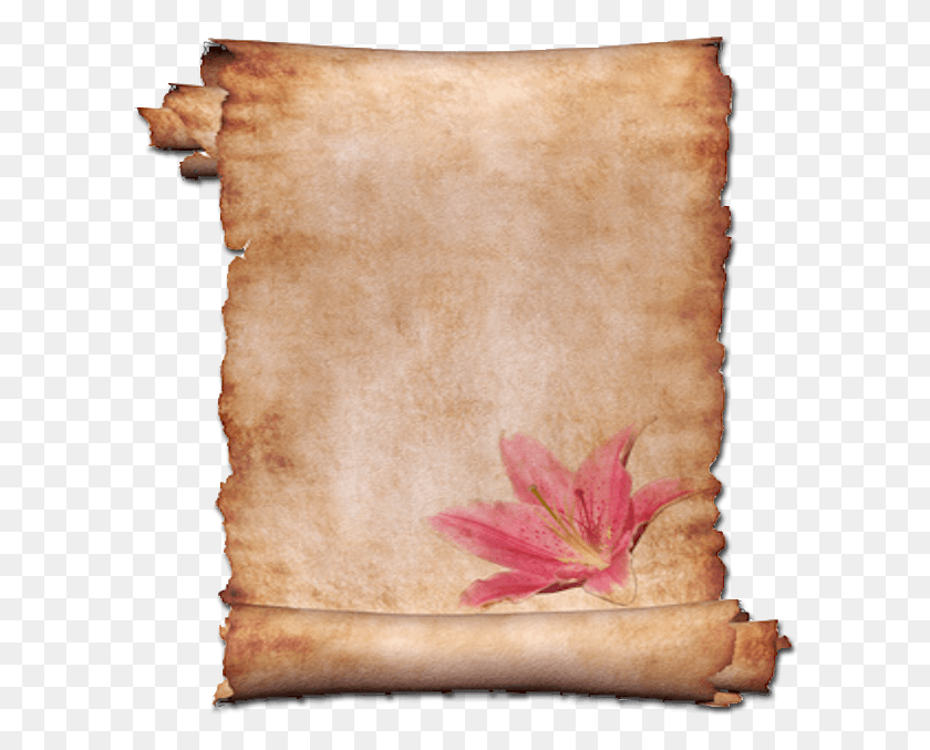 603x617 Pergamino Imagui Letter Paper, Scroll, Pillow, Cushion HD PNG Download