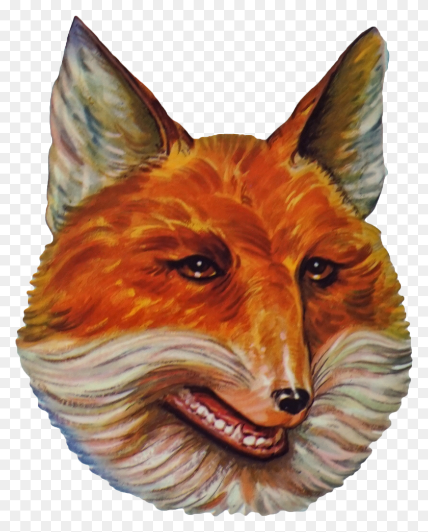 1662x2094 Perhaps The Smiling Fox Will Make Another Appearance Fox Head Transparent HD PNG Download