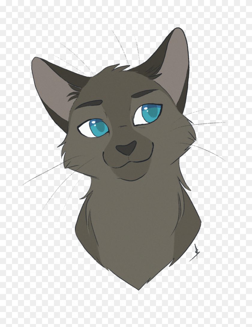 728x1030 Permalink To 100 Good Warrior Cat Drawings Inspiration Anime Warrior Cat Drawing, Pet, Mammal, Animal HD PNG Download