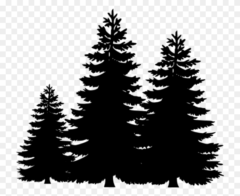728x626 Permalink To Pine Tree Clip Art Winter Clipart Silhouette Of A Pine Tree, Gray, World Of Warcraft HD PNG Download