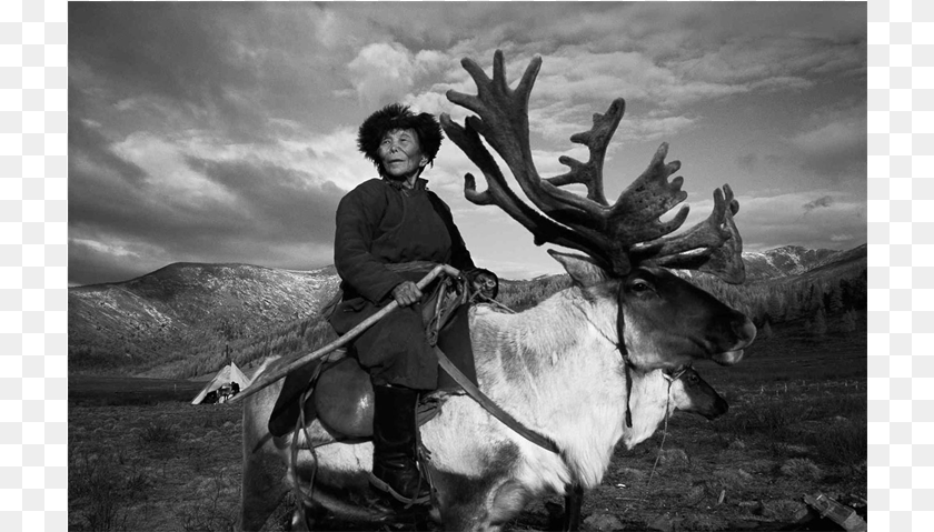 Permanent Collection Reindeer People, Wildlife, Animal, Deer, Elk PNG
