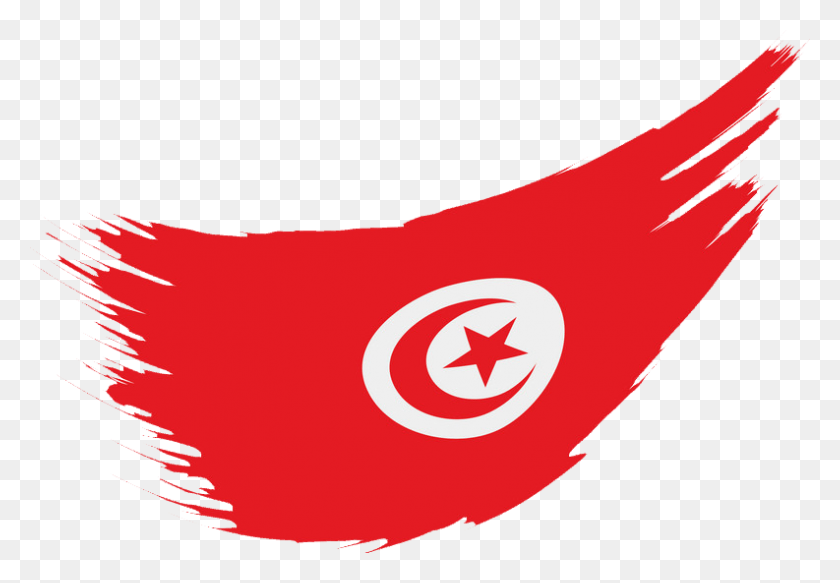 793x532 Разрешение На Вождение Автомобиля В Тунисе Консульский Флаг Туниса, Символ, Символ Звезды, Рука Hd Png Скачать