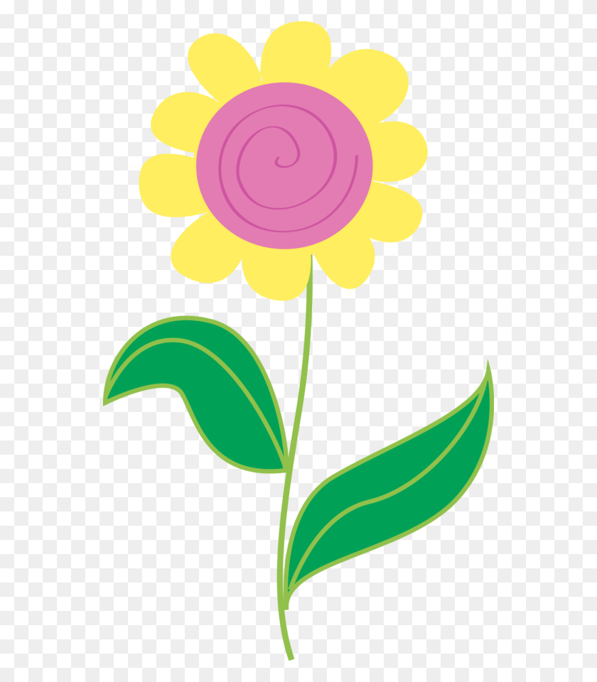 550x900 Персидский Лютик, Растение, Цветок, Цветение Hd Png Скачать