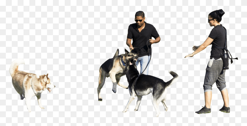 1827x867 Person Walking Dog, Human, Husky, Pet HD PNG Download