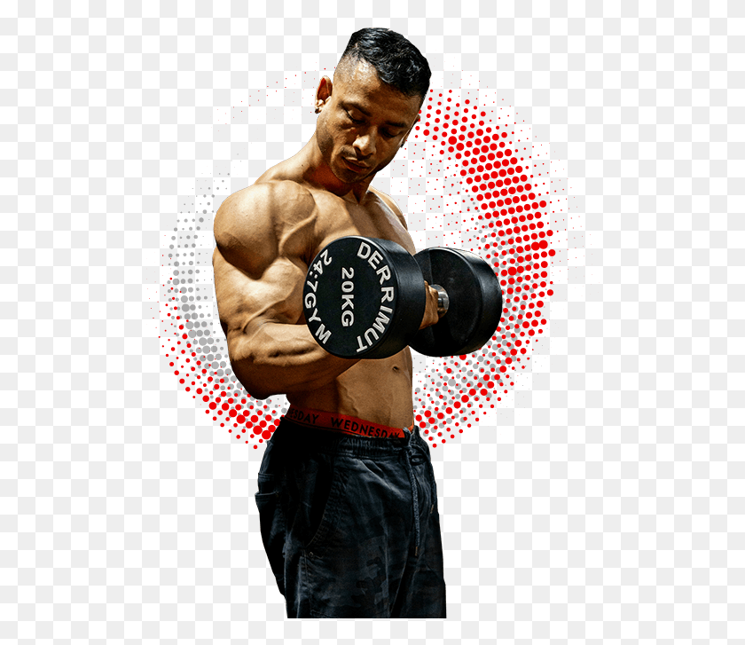 512x667 Personal Training Adelaide Gym Guy Bodybuilding, Person, Human, Sport HD PNG Download