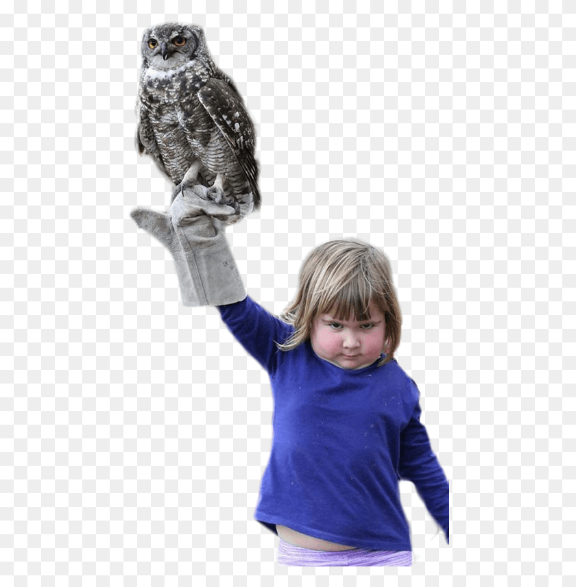 471x797 Personan Angry Girl Holding An Owl Girl Holding Owl, Clothing, Apparel, Sleeve HD PNG Download