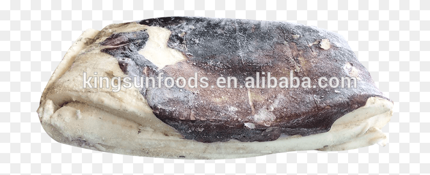 699x283 Peru Giant Squid Fillets Peru Giant Squid Fillets Igneous Rock, Soil, Mineral, Fossil HD PNG Download
