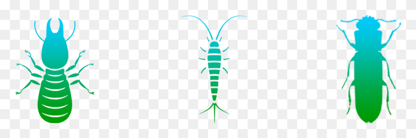 1688x472 Pest Control Integrated Services Was Founded By Mr Insect, Animal, Invertebrate, Scorpion HD PNG Download