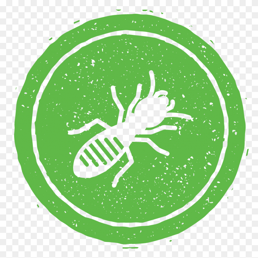 873x876 Pest Control Nashville Tn Franklin Tn Brentwood Illustration, Ant, Insect, Invertebrate HD PNG Download