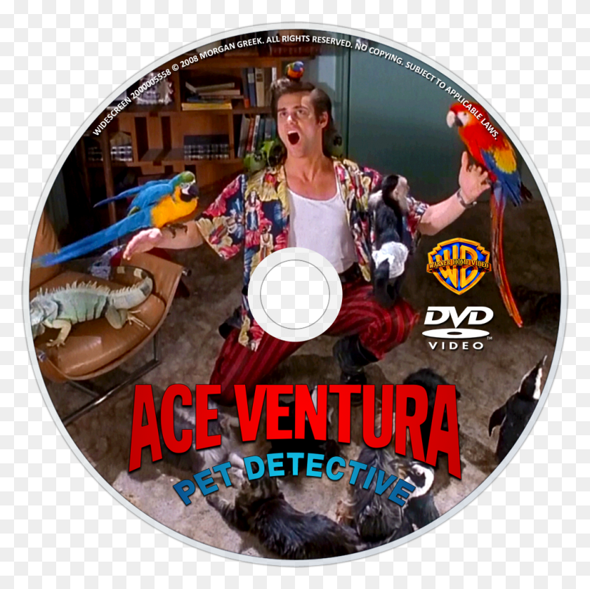 1000x1000 Детектив Домашних Животных Dvd Изображение Ace Ventura Animal Lover, Диск, Плакат, Реклама Hd Png Скачать