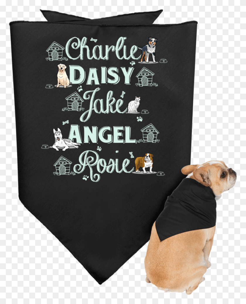 914x1148 Pet Names With Their Pet Home Dog Bandana, Person, Human, Clothing HD PNG Download
