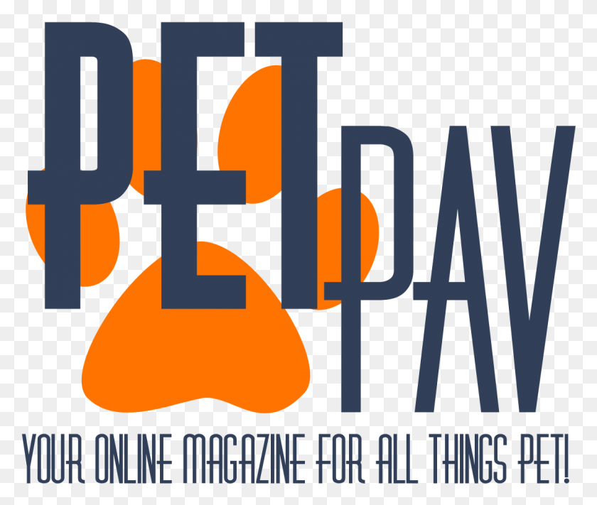 1120x935 Pet Pavlogo Pet Insurance, Text, Alphabet, Word HD PNG Download