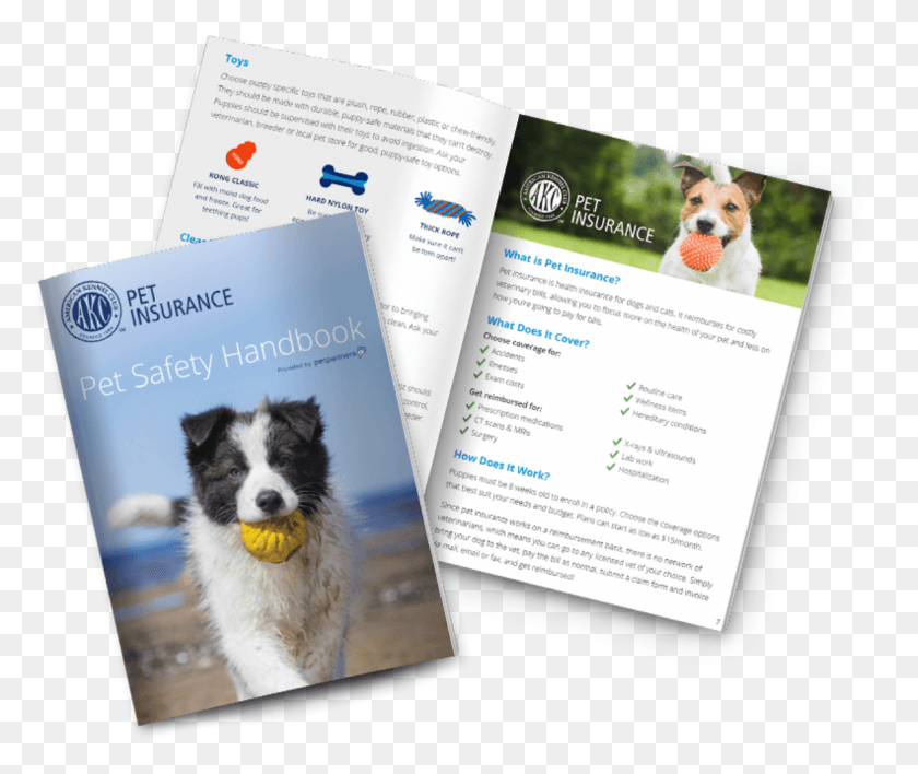 1177x978 Pet Safety Handbook Bernese Mountain Dog, Poster, Advertisement, Flyer HD PNG Download
