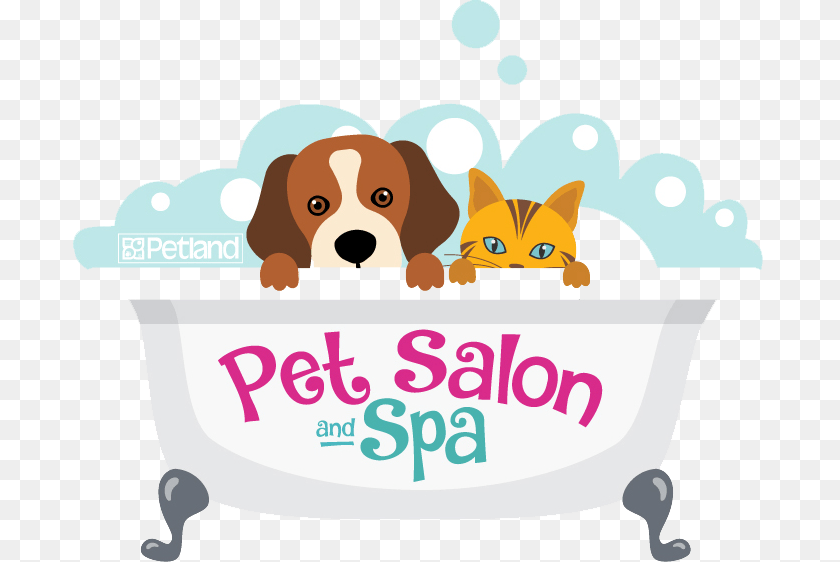 695x562 Pet Spa Cartoon, Tub, Bathing, Bathtub, Person PNG