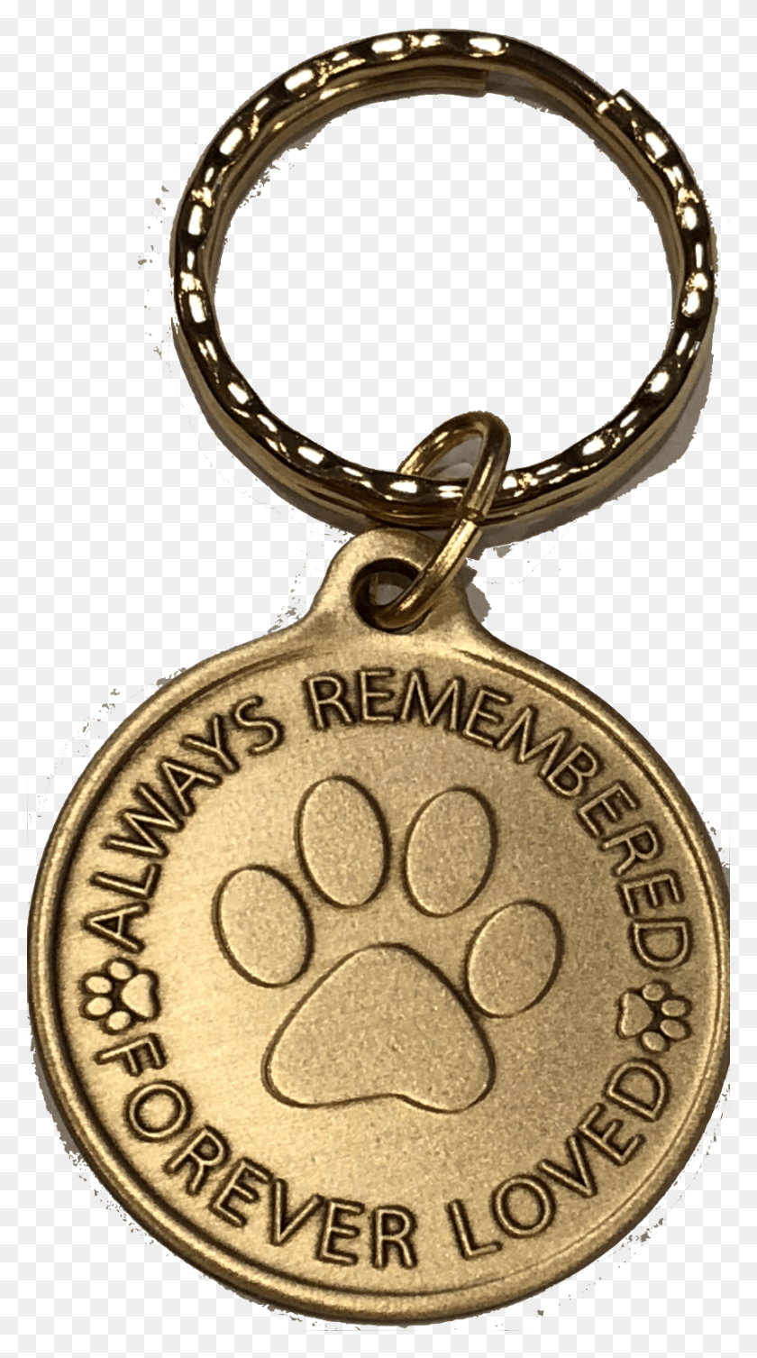 863x1600 Descargar Png Recuperación De Suministros Para Mascotas Chip Siempre Recordado Para Siempre Llavero, Oro, Medallón, Colgante Hd Png