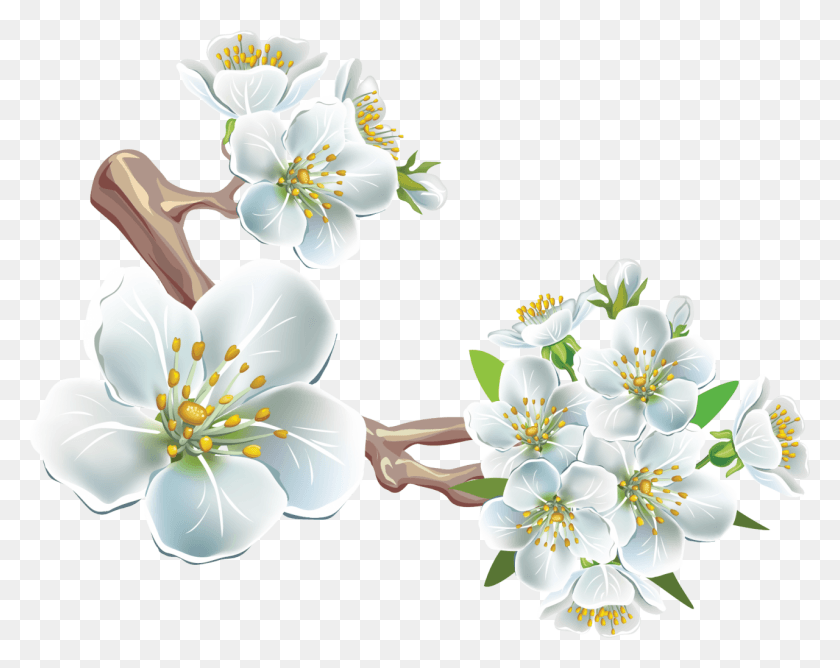 1280x998 Petal Clipart Spring Flower Clip Art, Plant, Anther, Flower HD PNG Download