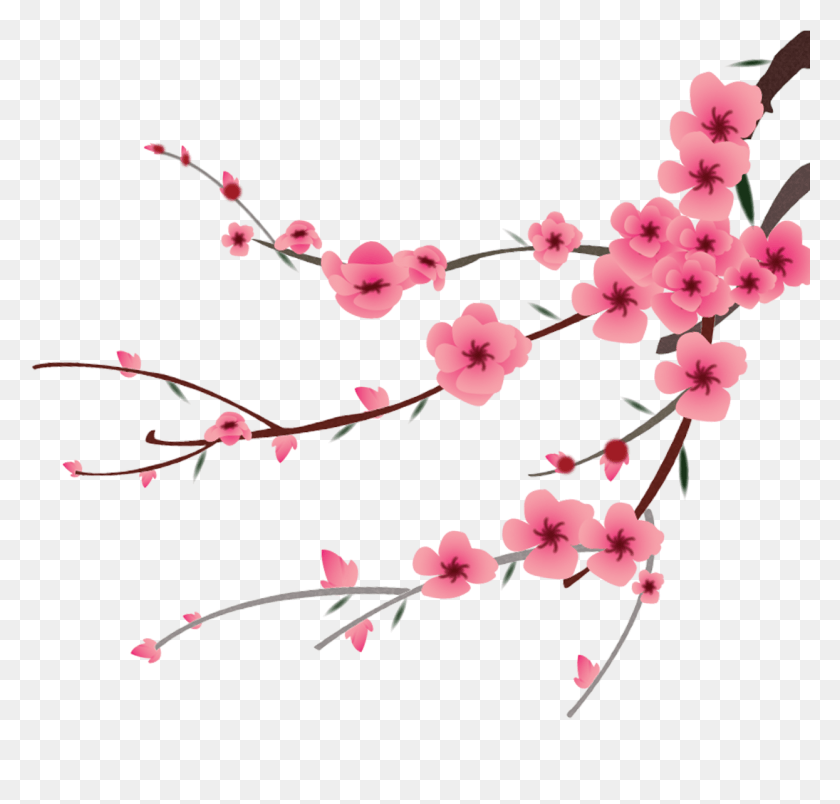 1245x1188 Petal Flower Hand Painted, Plant, Blossom, Cherry Blossom HD PNG Download