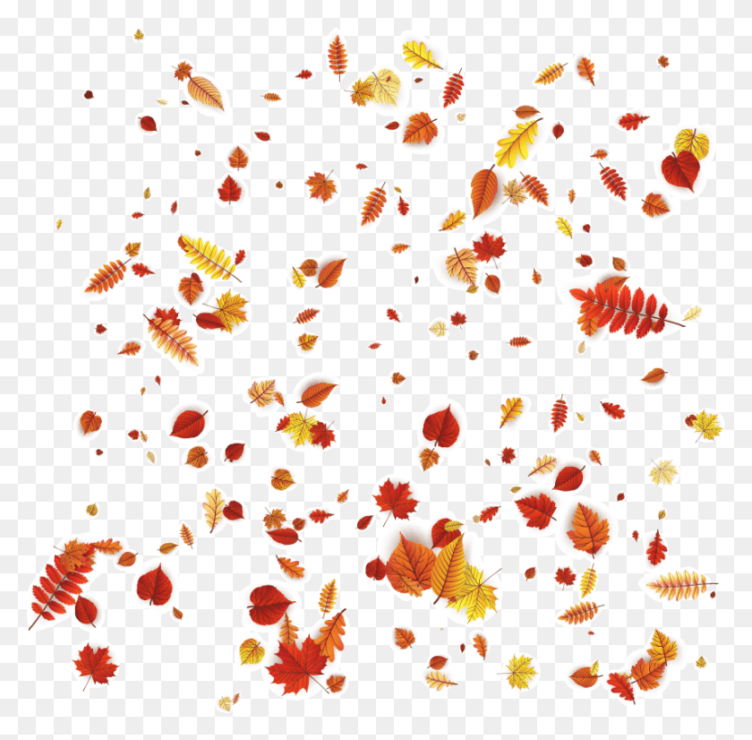 854x839 Листья Лепестка Осенний Оранжевый Векторный Дизайн Узор Падающие Осенние Листья, Конфетти, Бумага, Коврик Png Скачать