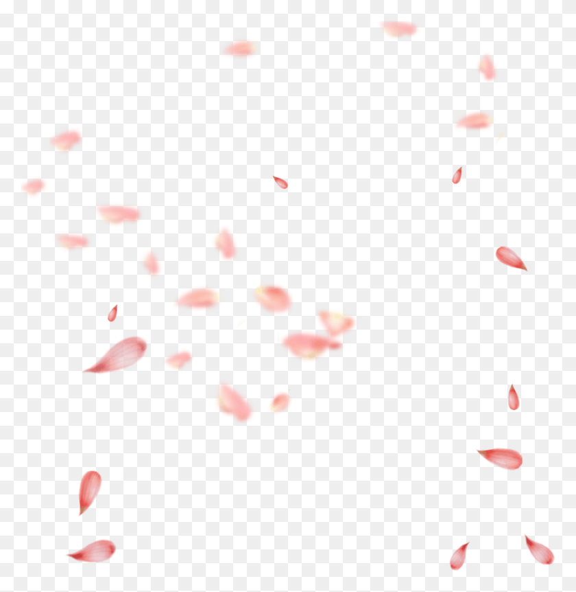 1479x1522 Petal Pink Gratis Transprent Transparent Cherry Blossom Petals Falling, Flower, Plant, Blossom HD PNG Download