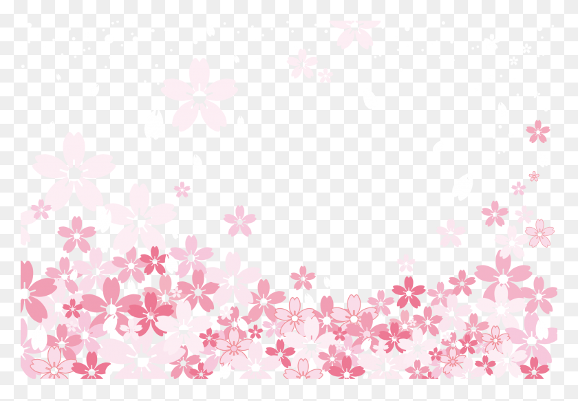 2399x1610 Petal Vector White Background, Graphics, Floral Design HD PNG Download