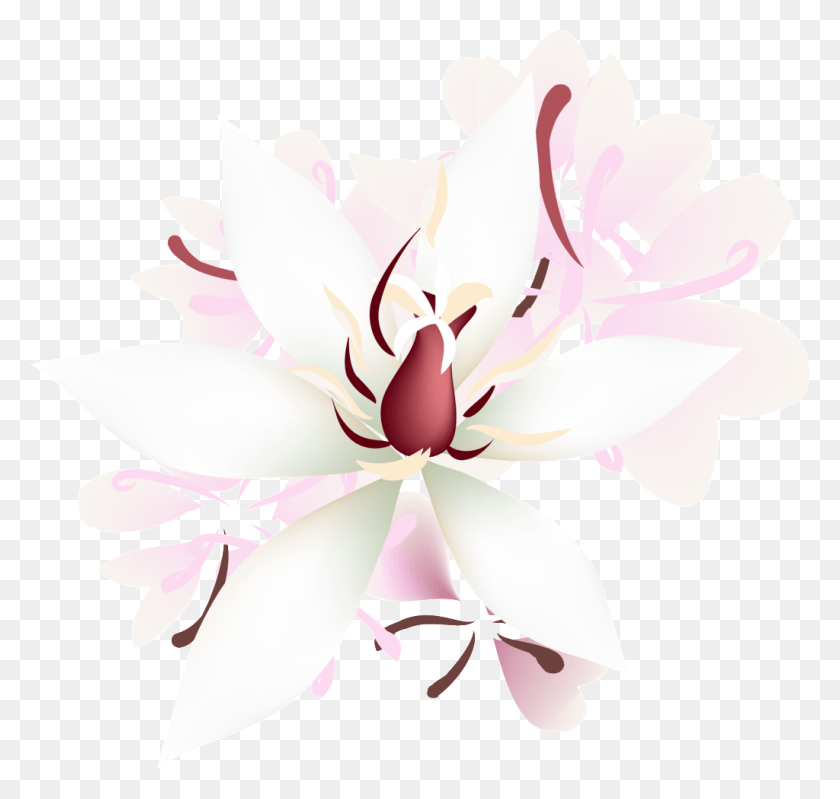1024x971 Petalos De Rosa Transparente Decorativo Магнолия, Растение, Цветок, Цветение Png Скачать