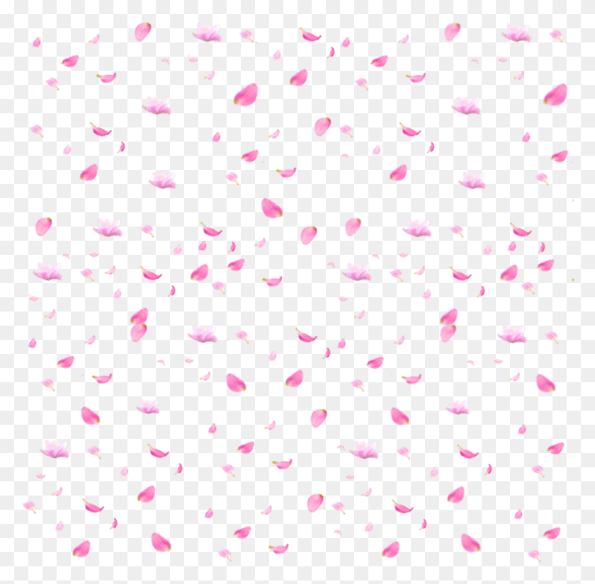 1013x994 Petals Pinkpetals Petal Pinkflowers Pinkflower Pattern, Confetti, Paper, Rug HD PNG Download