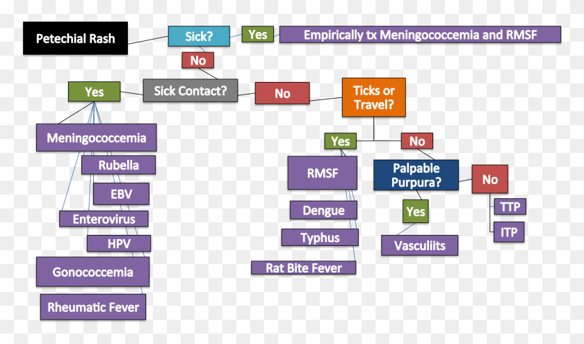 1515x846 Petechiae Flow Chart Flow Chart For Petechial Rash, Scoreboard, Text, Number HD PNG Download