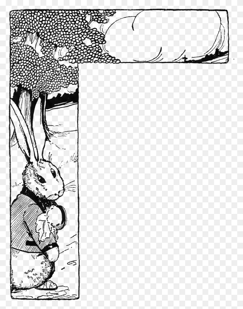 1020x1320 Peter Rabbit Albert Border 03 Black Amp White Illustrations Of Peter Rabbit, Comics, Book, Plant HD PNG Download