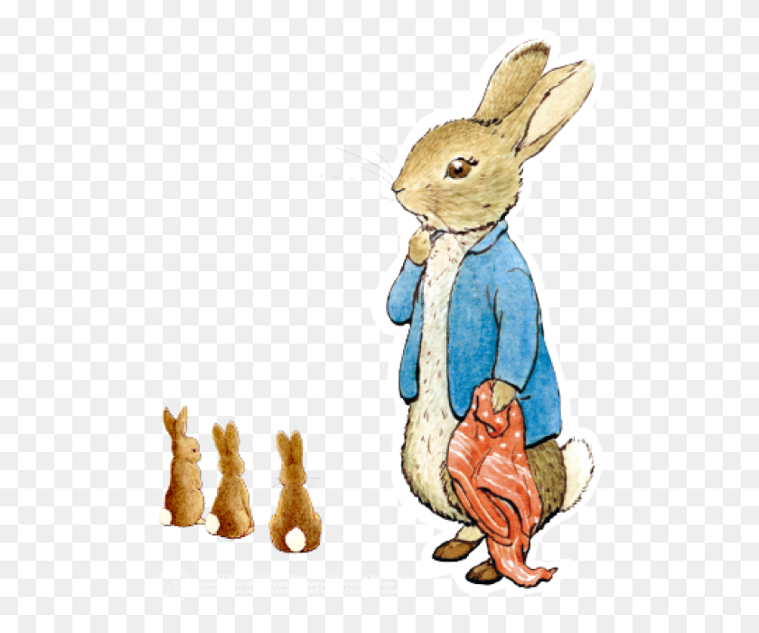 500x640 Peter Rabbit, Peter El Conejo, La Liebre, Roedor, Mamífero Hd Png