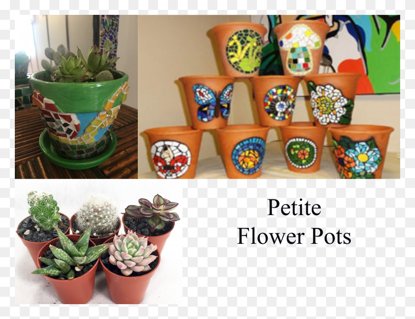 4032x3024 Petite Flower Pot 40 Flowerpot HD PNG Download