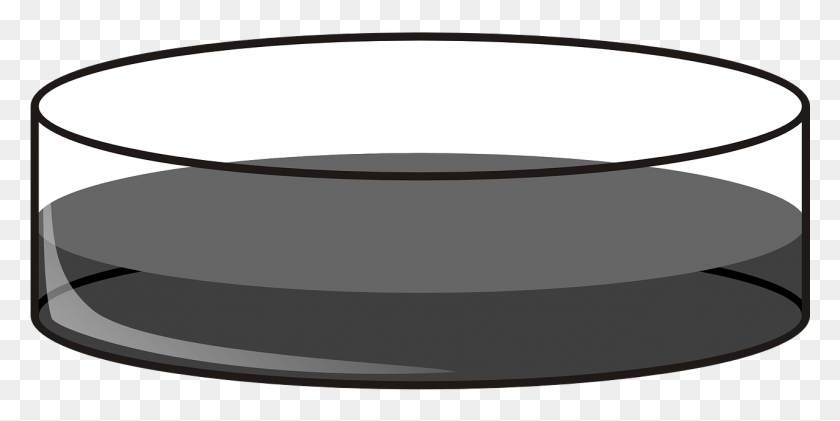 1281x594 Чашка Петри Deep Lab Fluid Серое Изображение Чашка Петри Картинки, Миска, Мебель, Ванна Hd Png Скачать