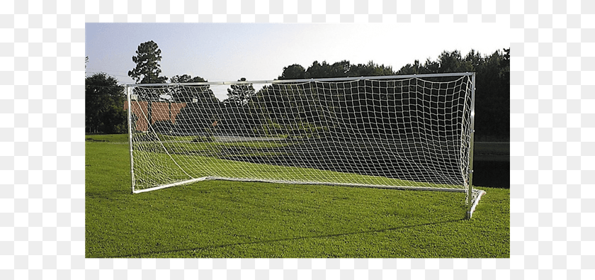 601x335 Pevo European Practice Soccer Goal Net, Field, Grass, Plant HD PNG Download