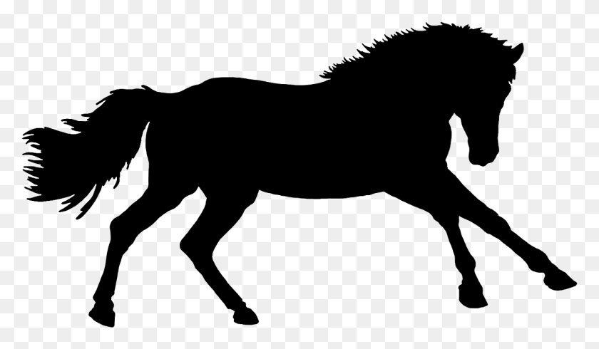 1275x703 Pferd Silhouette Mane, Grey, World Of Warcraft Hd Png