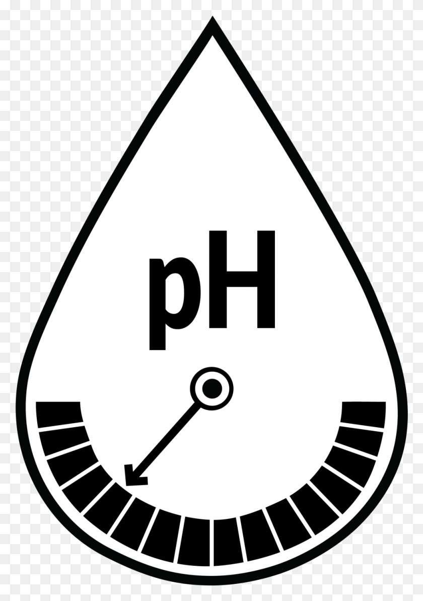 978x1421 Ph Level Issues Water Ph Icon, Clock, Analog Clock, Text HD PNG Download