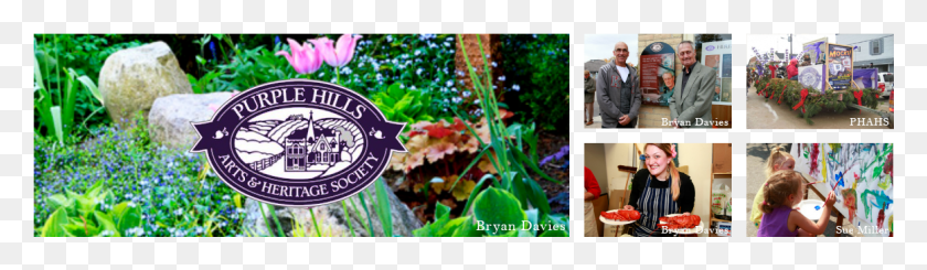 1162x276 Phahs Collage Header Orchid, Person, Plant, Vegetation HD PNG Download