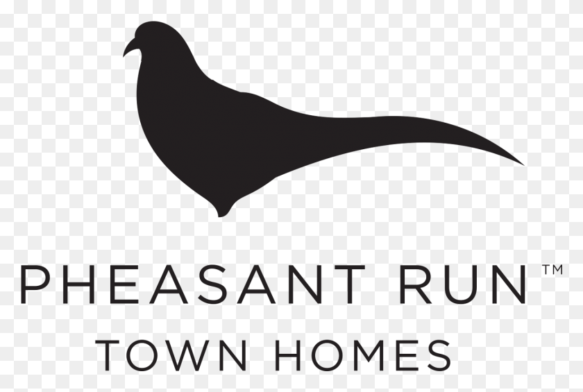 1433x928 Pheasant Run Townhomes Pigeons And Doves, Bird, Animal, Pigeon HD PNG Download