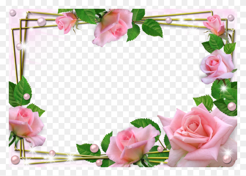 1280x888 Phenomenological Religious And Deconstructive Views Beautiful Flowers Frame, Plant, Rose, Flower HD PNG Download