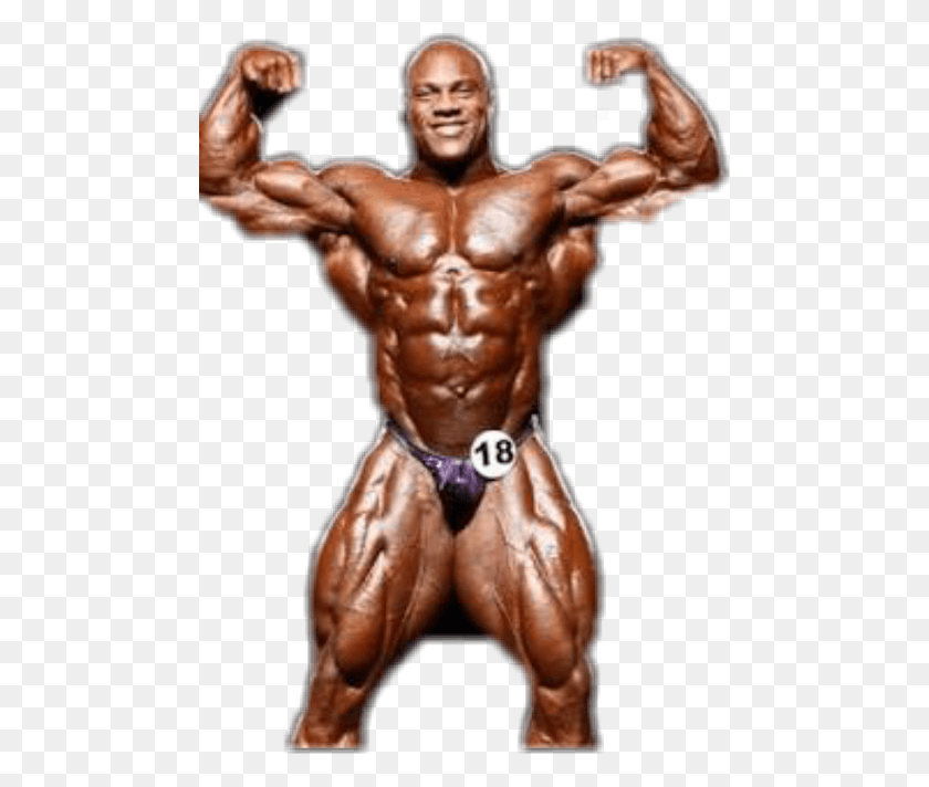 480x652 Phil Heath, Arm, Person, Human HD PNG Download