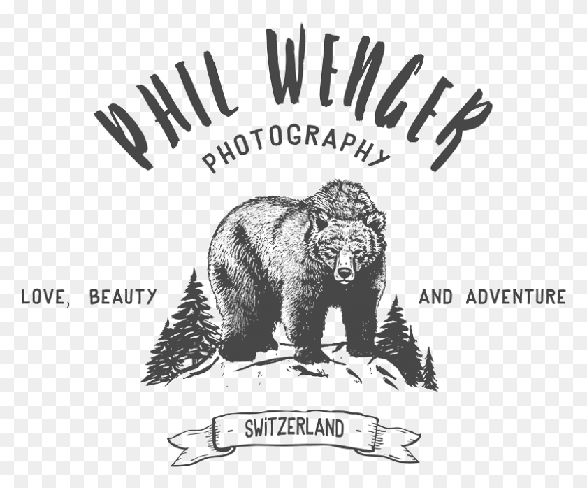 791x648 Phil Wenger Grizzly Bear, Animal, Mammal, Wildlife HD PNG Download