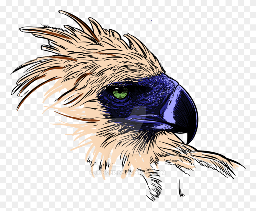 777x631 Philippine Eagle Logo Philippine Eagle Drawing, Bird, Animal, Vulture HD PNG Download