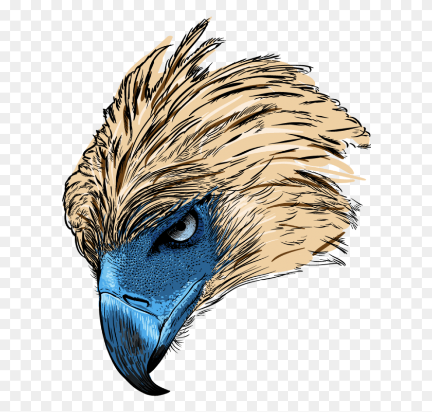 602x741 Philippine Eagle Logo Philippine Eagle Head Logo, Bird, Animal, Beak HD PNG Download