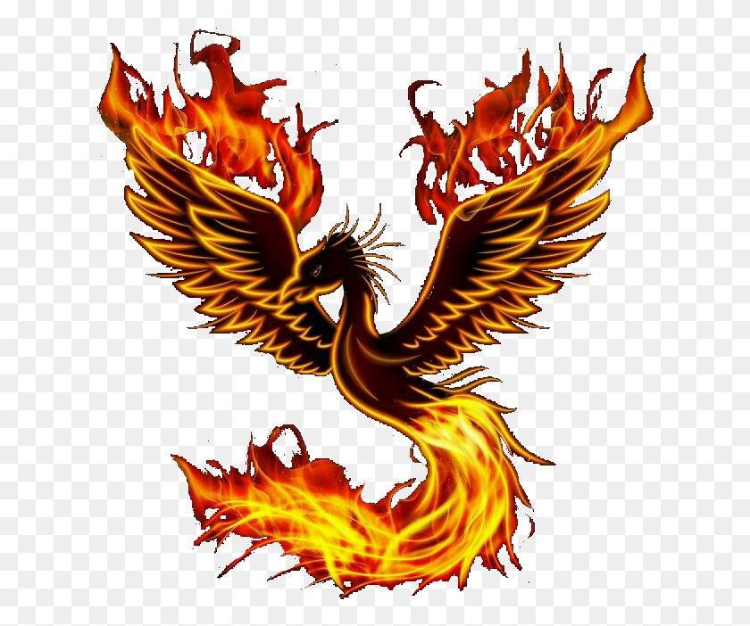 624x642 Phoenix Bird Illustration, Bonfire, Flame, Fire HD PNG Download