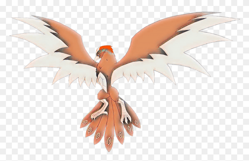 1024x634 Phoenix Kaiju Godzilla Rodan Kingghidorah Eagle, Bird, Animal, Flying HD PNG Download