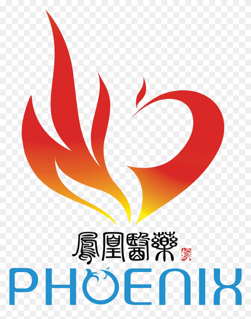 2046x2645 Phoenix Logo, Poster, Advertisement, Graphics HD PNG Download